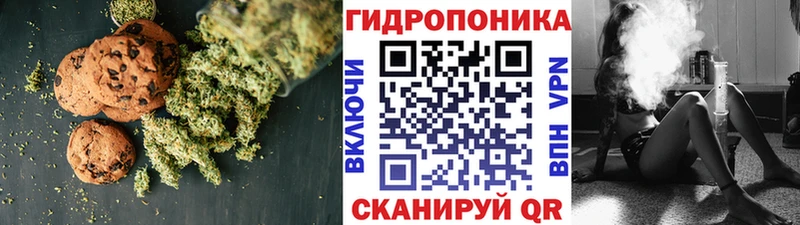 даркнет сайт  Котельнич  Canna-Cookies конопля 