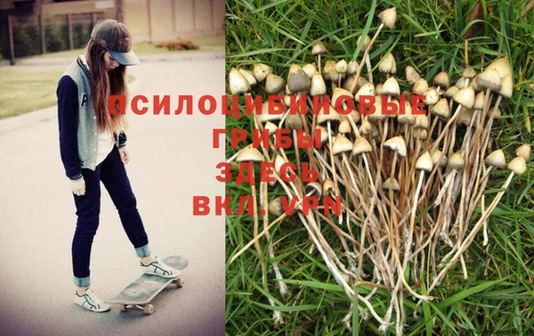 ПСИЛОЦИБИНОВЫЕ ГРИБЫ Балабаново