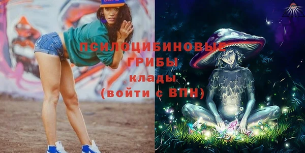соль ск Балахна